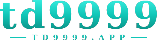 td9999 logo